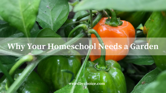 Why Your Homeschool Needs a Garden