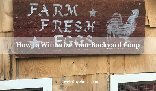How to Winterize Your Backyard Coop